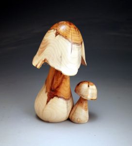 champignon en bois